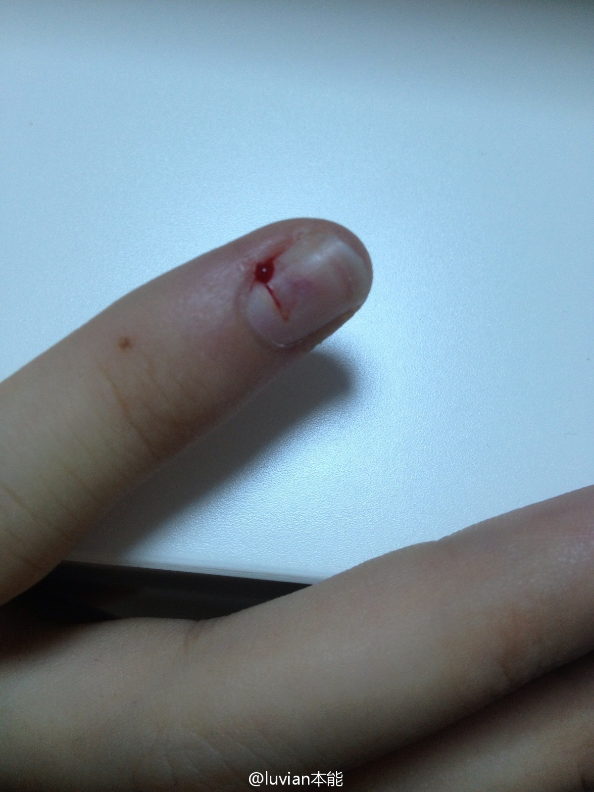 秀人美媛馆女郎luvian本能 微博相册集锦